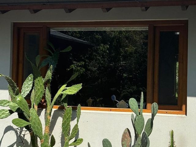 place photo 87