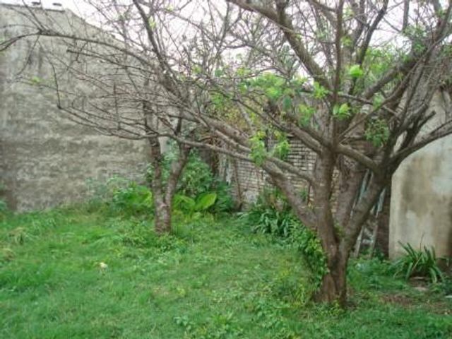 place photo 36