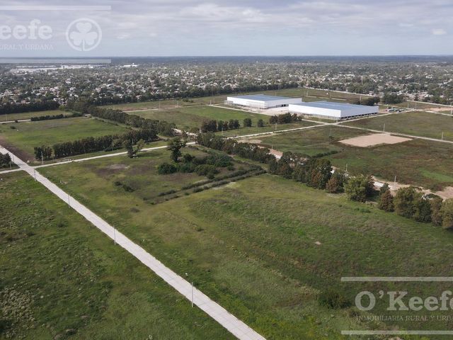 place photo 13