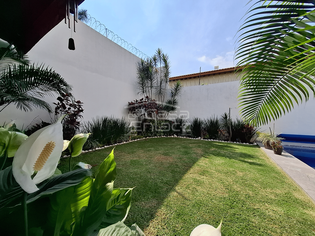 place photo 38