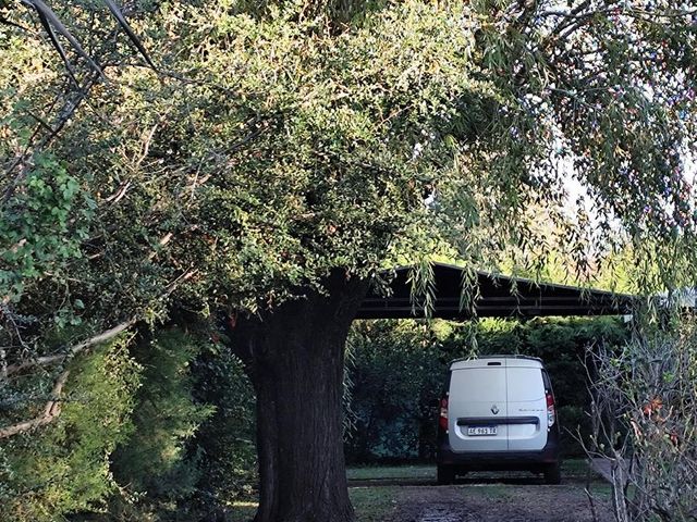 place photo 21