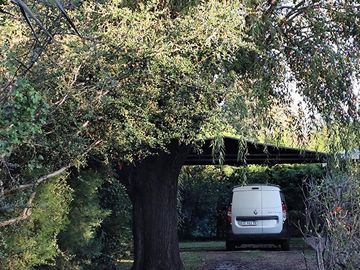 place photo 21