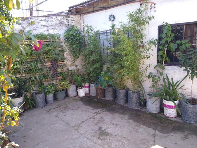 place photo 15