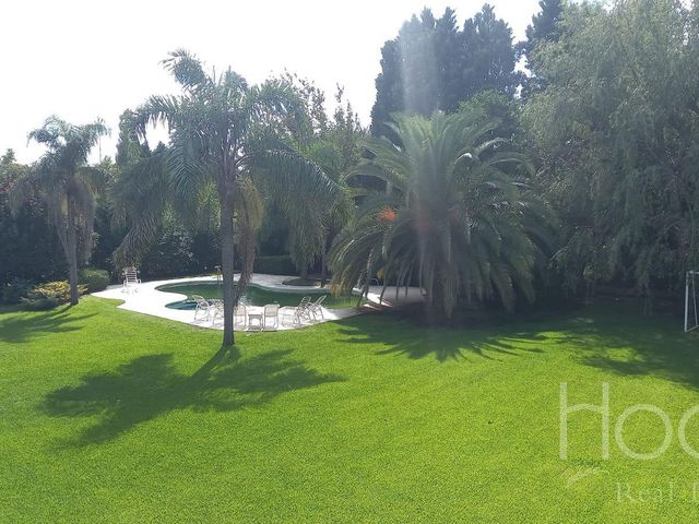 place photo 63