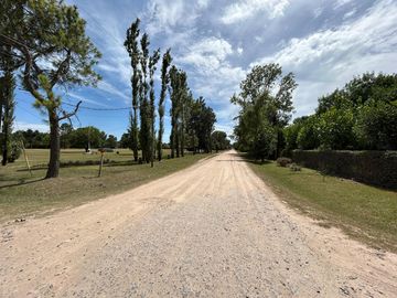 place photo 31