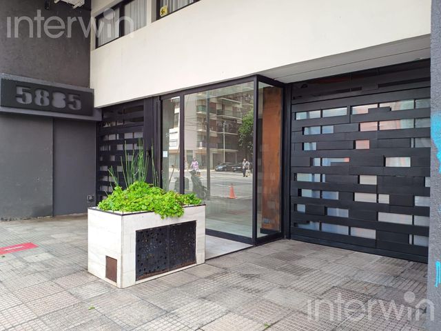 place photo 18