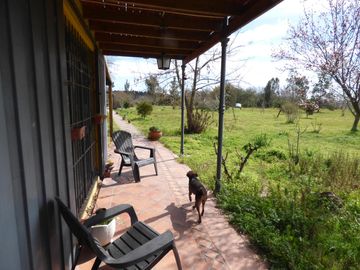 place photo 41