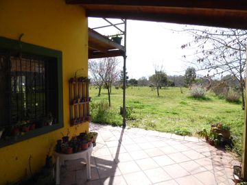 place photo 16
