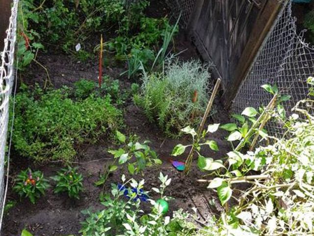 place photo 50