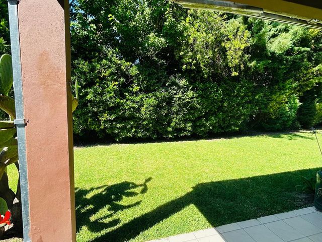 place photo 64