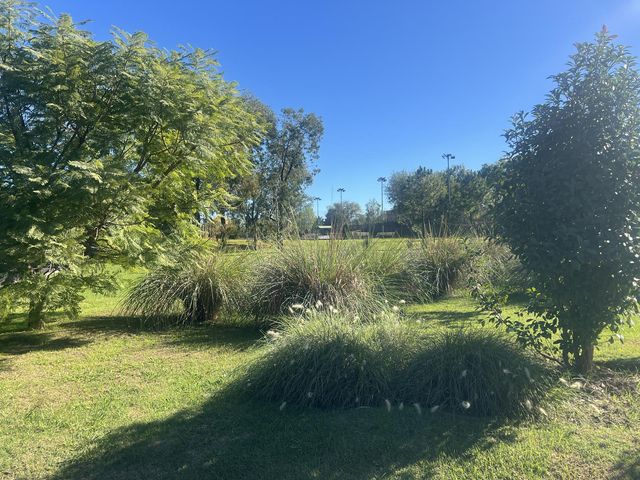 place photo 54