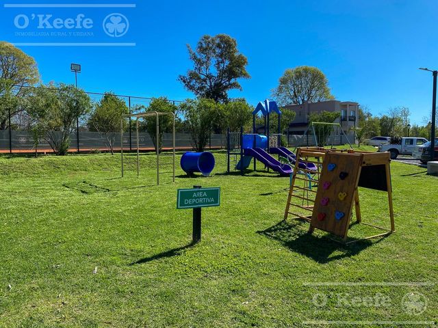 place photo 41