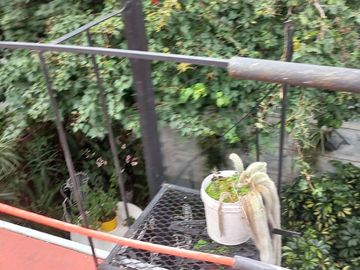 place photo 59