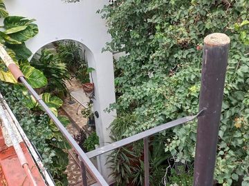 place photo 58