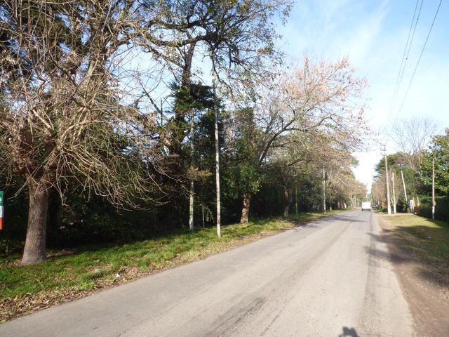 place photo 11