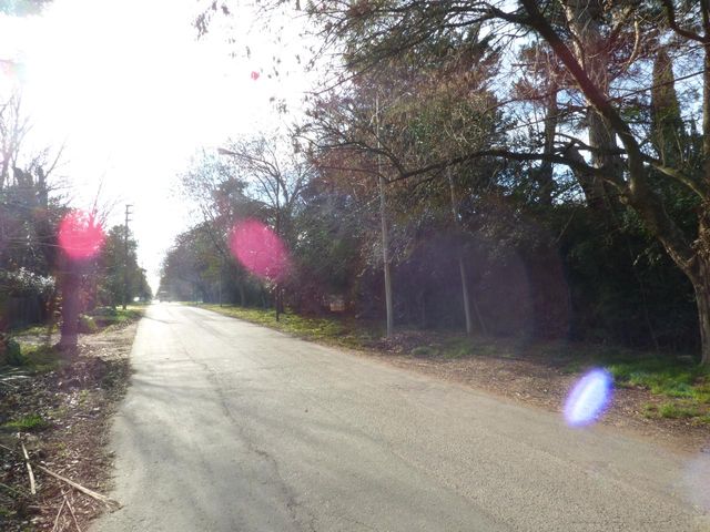 place photo 23