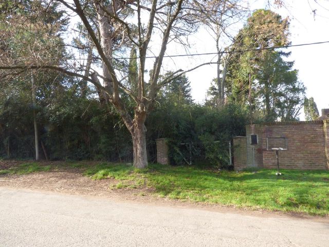 place photo 22
