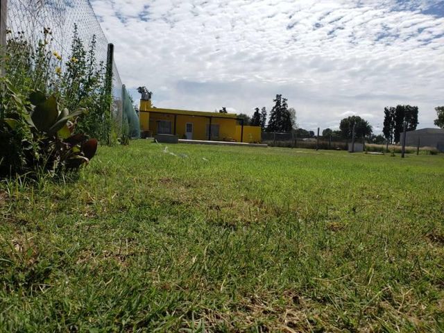 place photo 11