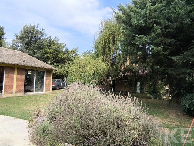 place photo 40