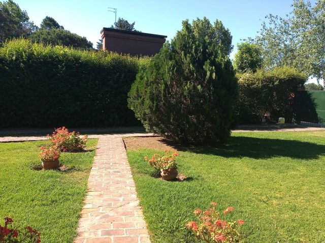 place photo 36