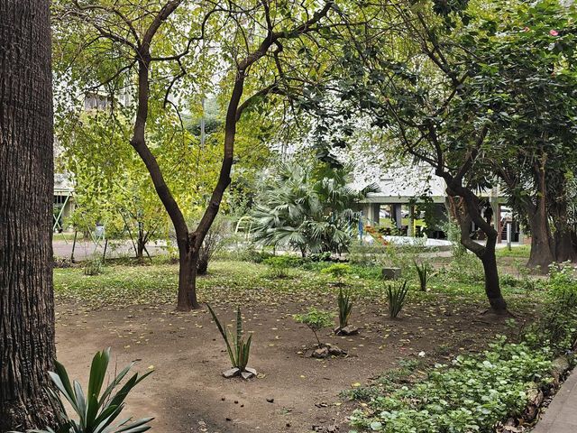 place photo 43
