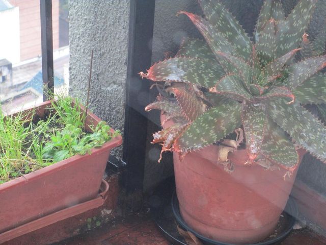 place photo 58