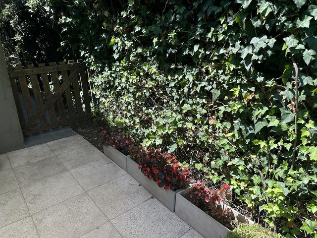 place photo 31