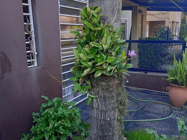 place photo 31