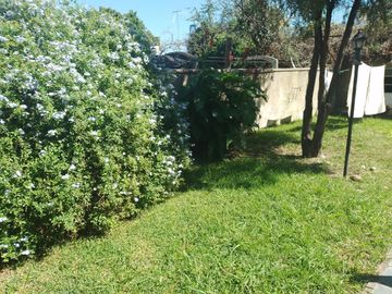place photo 36