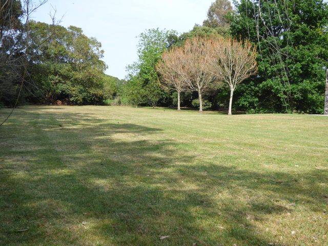 place photo 45