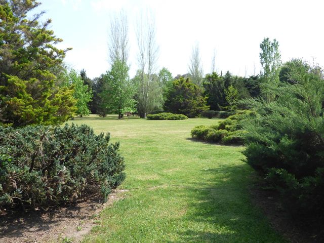 place photo 50