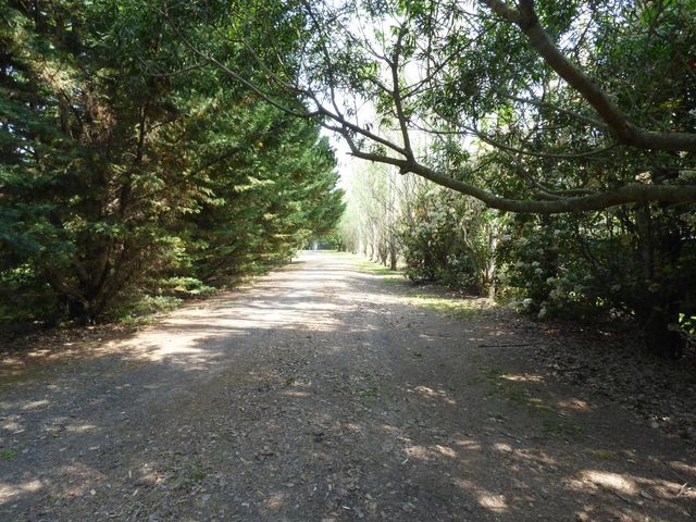 place photo 43
