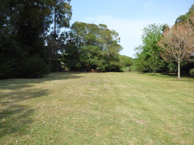 place photo 49