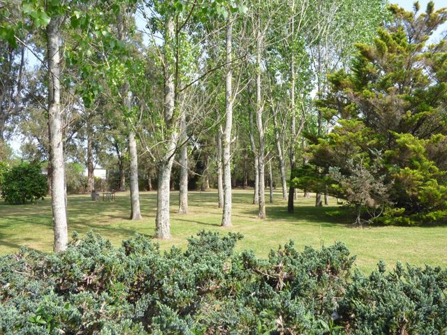 place photo 51