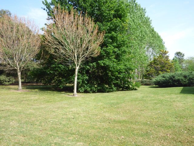 place photo 47