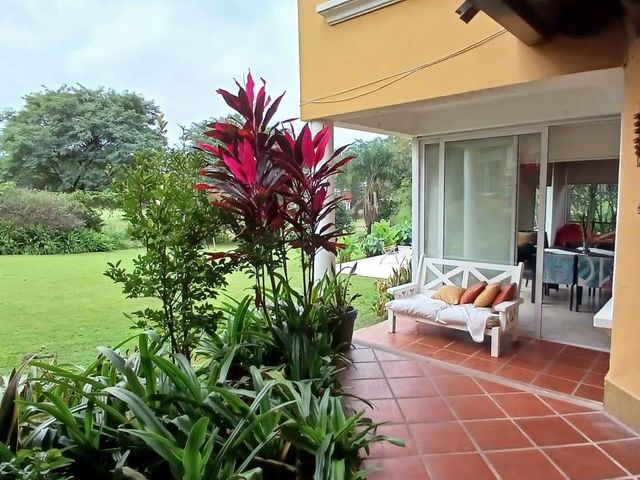 place photo 59