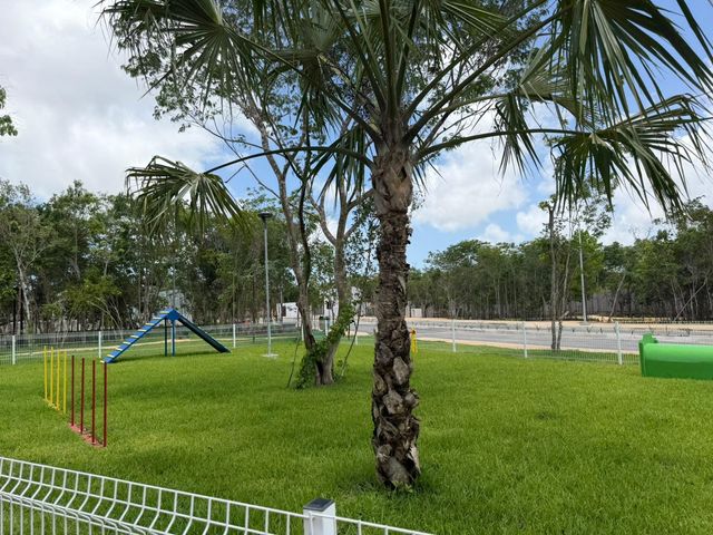 place photo 30