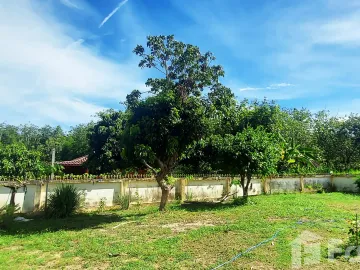place photo 51