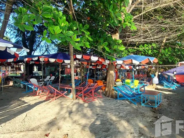 place photo 14