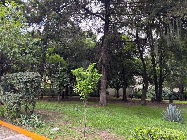 place photo 47