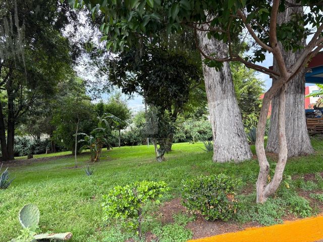 place photo 44