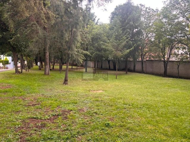 place photo 46