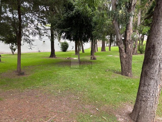 place photo 45