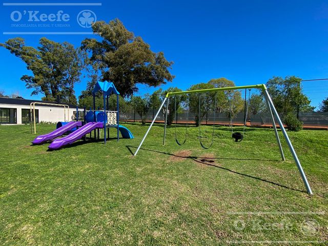 place photo 47