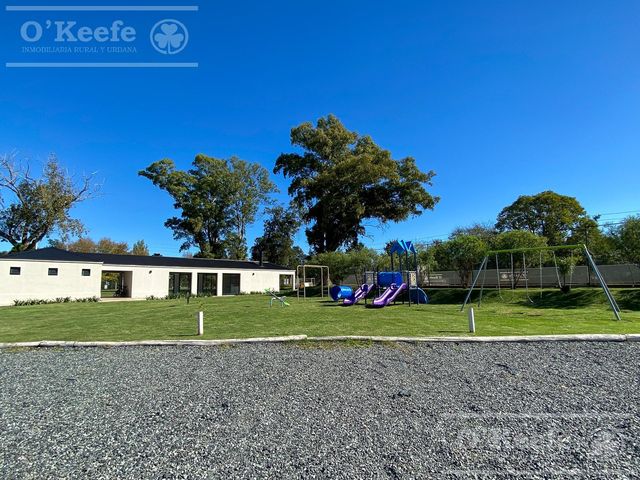 place photo 51
