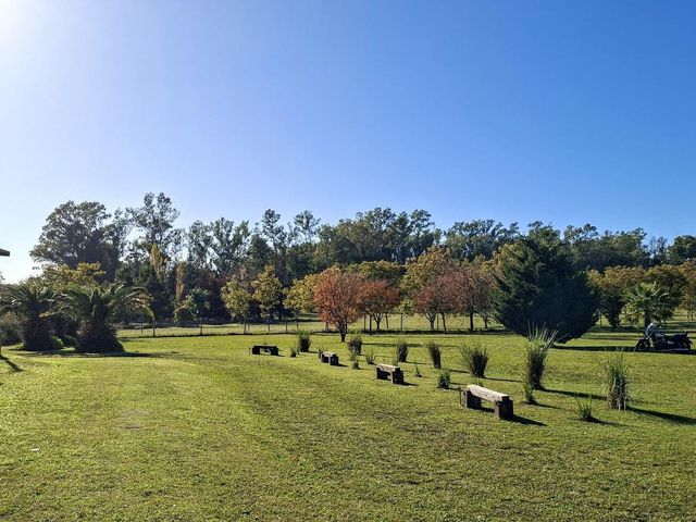 place photo 65