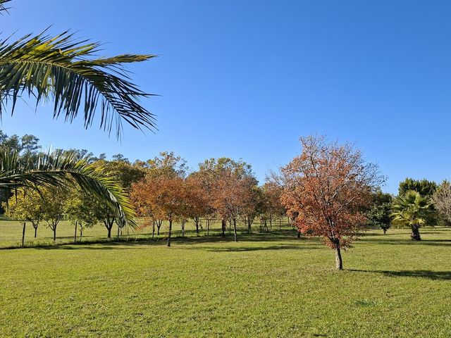 place photo 44