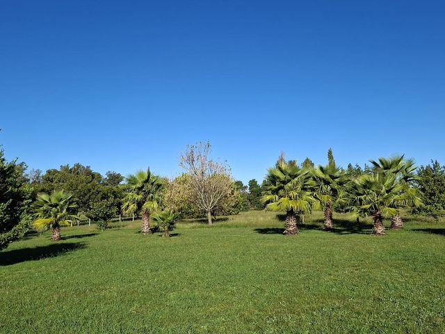place photo 66