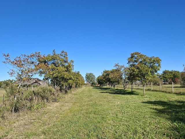 place photo 76