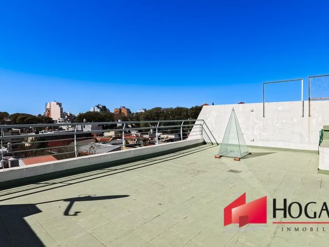 place photo 42